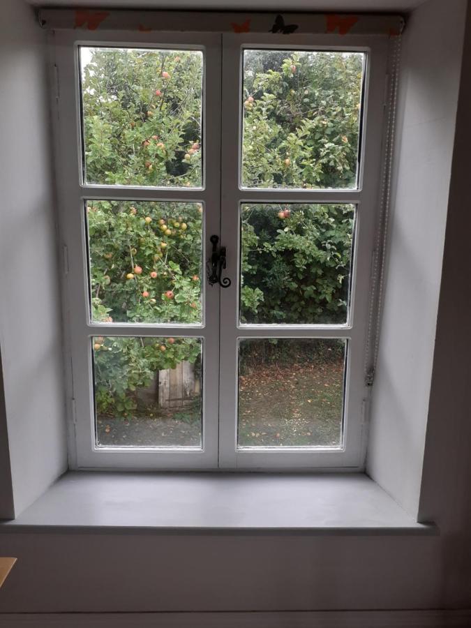 Characterful Cottage Adjacent To An Orchard Brockley Exterior photo